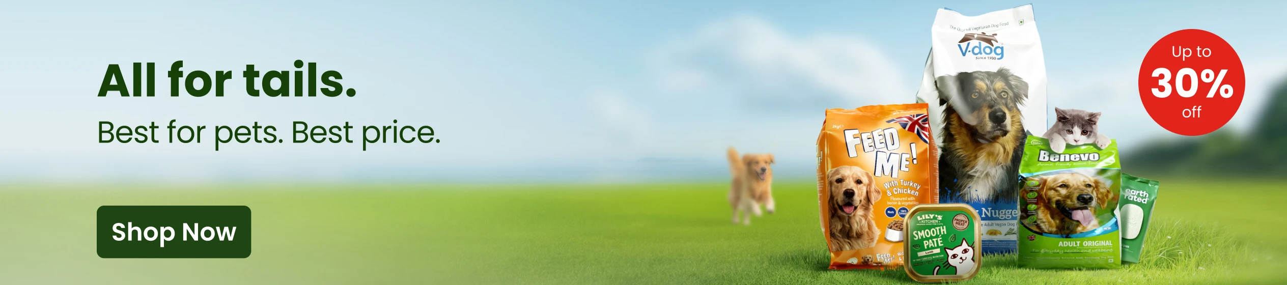 Big Promotion banner