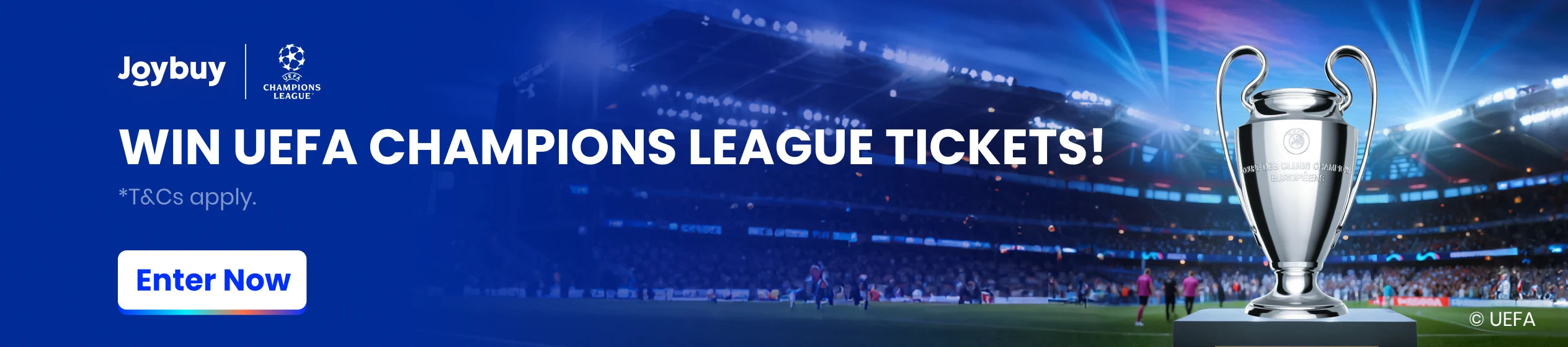 Big Promotion banner