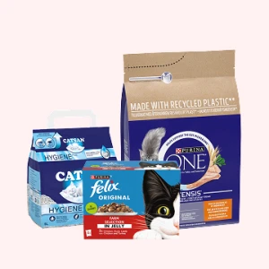 Cat Food & Accessories