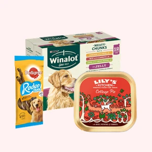 Dog Food & Accessories