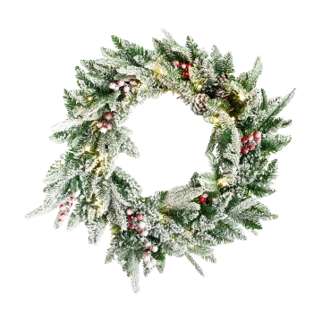 Occasions & Seasonal Events