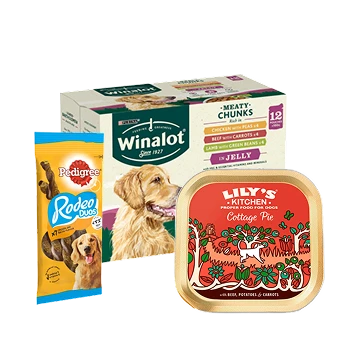 Hundefutter & Zubehör