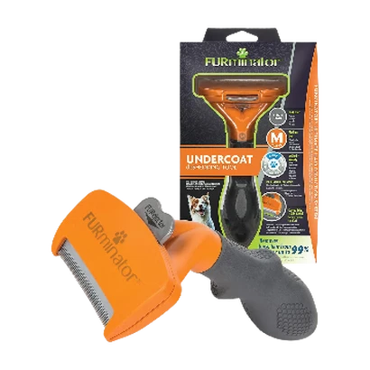 Toilettage pour chiens