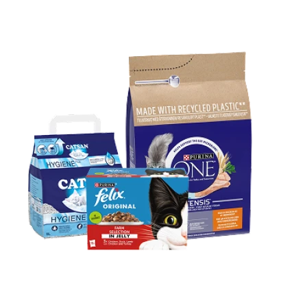 Cat Food & Accessories