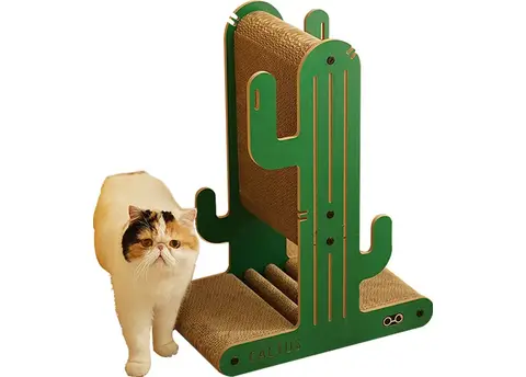 riviva kaktus RIC RAC CACTUS 6in main image 1