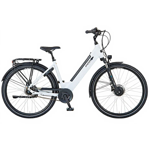 Prophete E-Bike 28 Zoll Bis 100 km Reichweite Frontmotor LCD Display Geniesser 2.0