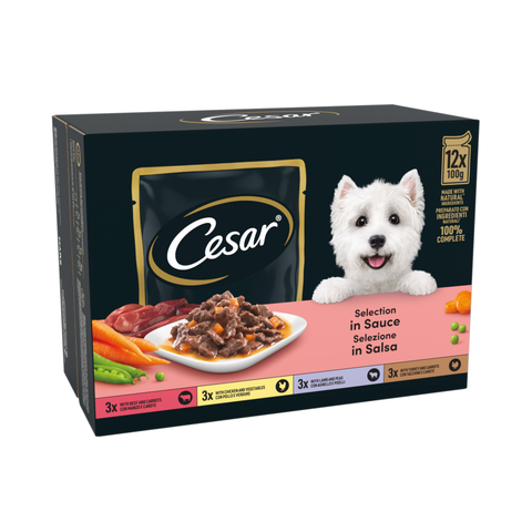 Cesar Deliciously Fresh Dog Food Pouches Mixed Selection in Sauce 12x100g