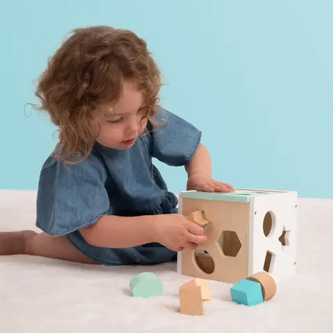 Owl and Fox Wooden Shape Sorter
