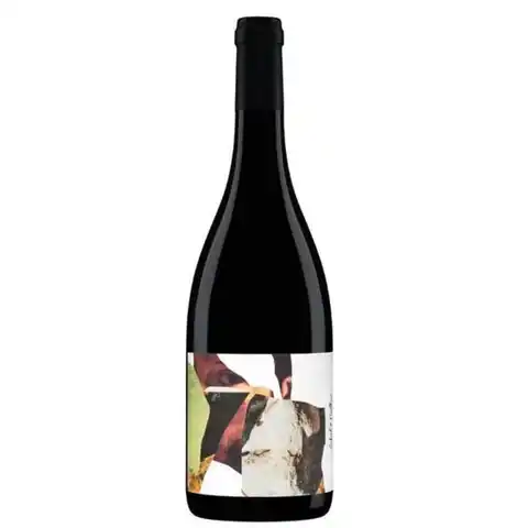 2022 gaspard Terrasses Du Larzac Organic, Aubert & Mathieu