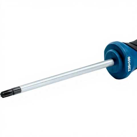 Bosch Schraubendreher TX 25 x