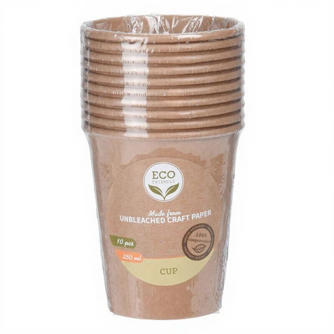 10pcs - Recyclable Cardboard Cups - 250 ml