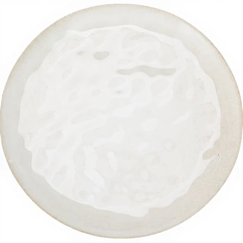 Plate Stoneware Dia 278xh28mm