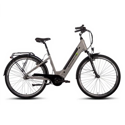 Saxonette E-Bike Cityrad Optimum Plus Silber 45" Rahmen