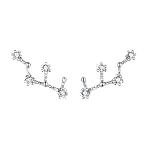 Ever Faith Virgo Zodiac Constellation Cubic Zirconia Stud Earrings