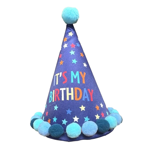 Nutmeg Party Hat Its My Birthday Blue