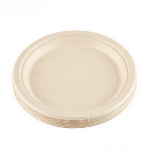 J.ZAO Disposable Plates, 20 pieces