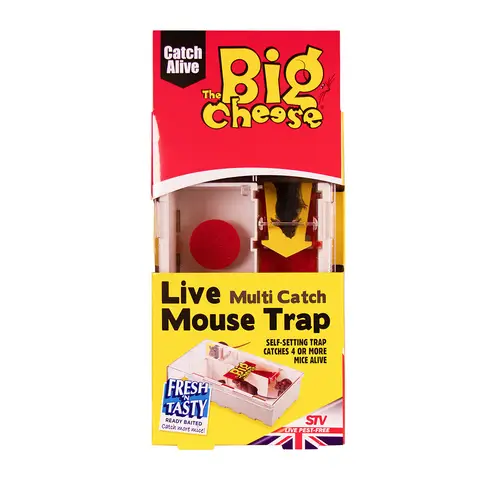 Big Cheese Multi-CATCH Live Mouse Trap