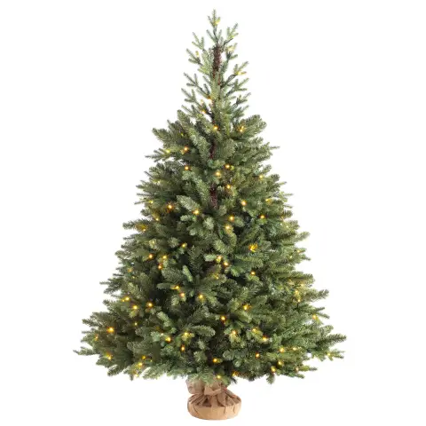 WeRChristmas Pre-Lit Norway Spruce Potted Christmas Tree, 4 ft