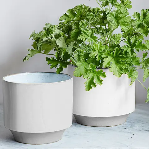 Fablon Sticky Back Plastic White Matt 0.675x2m