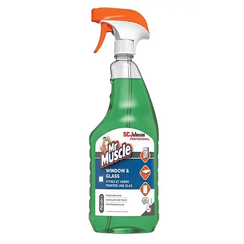 Mr Muscle Window & Glass Professional Spray, 750ml