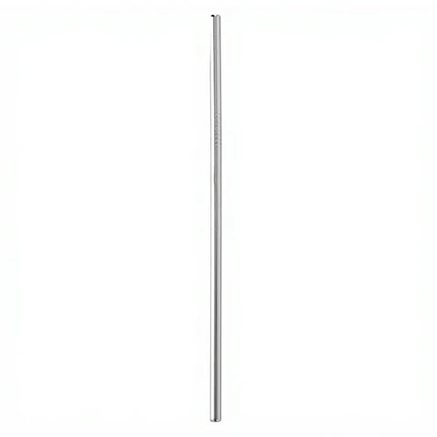 Lot de 6 Pailles en Acier Inoxydable + Brosse de Nettoyage