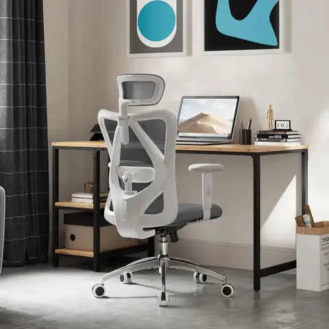 SIHOO M18 Ergonomic Office Chair, Computer Desk Chair with Adjustable Headrest
and Lumbar Support, High Back Executive Swivel Chair for Home Office (Grey)