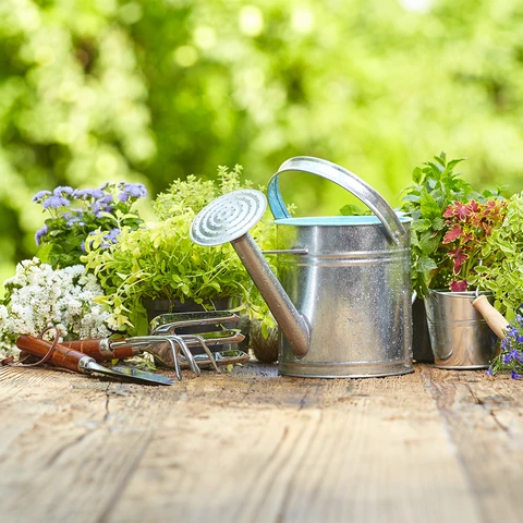 Le printemps arrive!