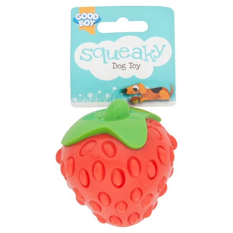 Good Boy Squeaky Fruit Dog Toy (Assorted)