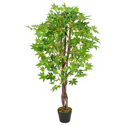 olivenbaum pflege topf Olivenbaum Olea Europaea XL – vielgrün main image 1