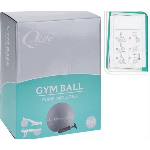 Ballon de Gymnastique et Yoga avec Pompe - 65 cm pour Renforcement du Core