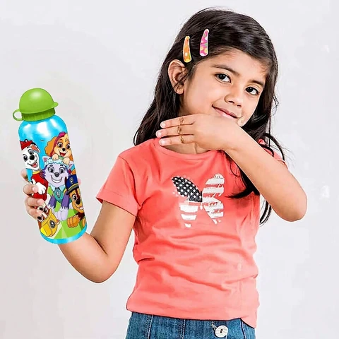 Spin Master Paw Patrol Trinkflasche Aluminium 500ml Ass.