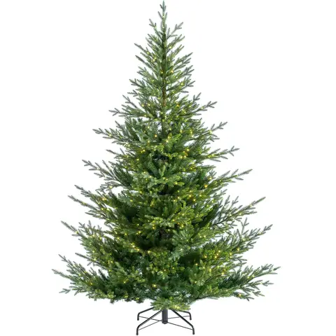 WeRChristmas Pre-Lit Douglas Fir Christmas Tree, 6 ft