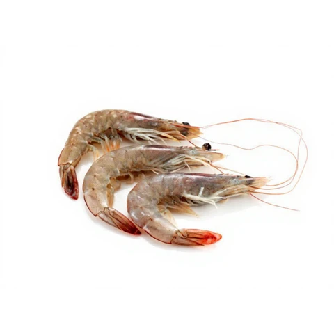 Ben's Black Tiger Garnelen 21/30 (mit Kopf und Schale) 750g