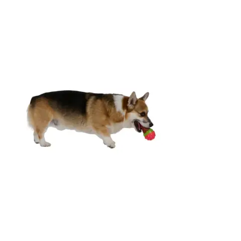 Hundespielzeug Eiscreme 2as VN
