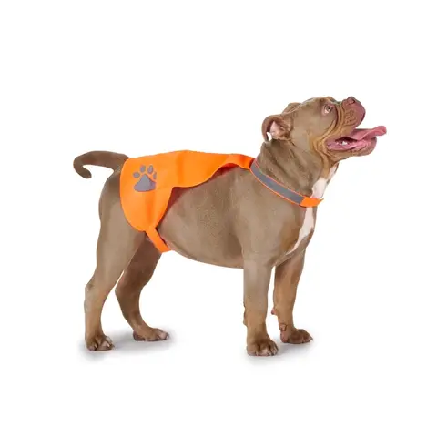 Hundesicherheitsweste L/XL