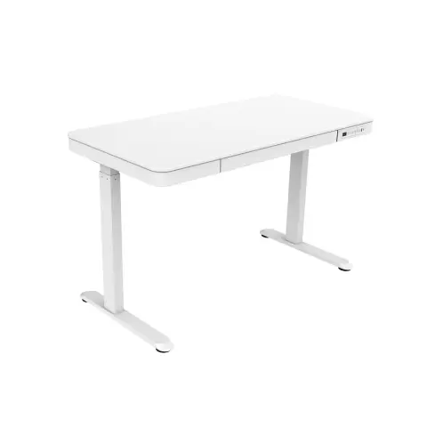 Ochama X Sitz-Steh-Schreibtisch - elektrisch höhenverstellbar - Holztischplatte - 120 x 60 cm -