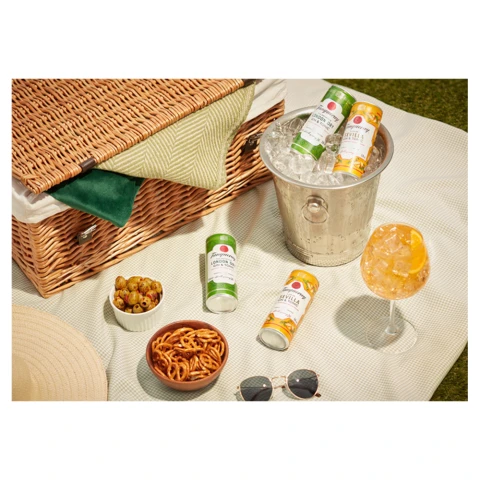 Tanqueray Flor de Sevilla Gin and Tonic 250ml