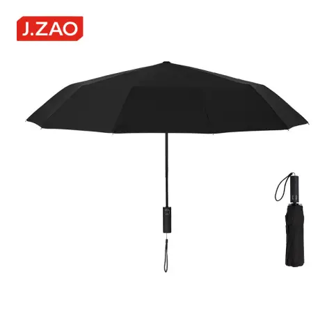 J.Zao Windproof and Rainproof Umbrella, Automatic Folding Umbrella - 10 Ribs 10 Ribs - Ten Bone - Large