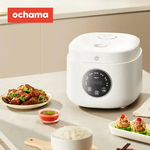 J.Zao Electric Rice Cooker - Multi-Function Rice Cooker for 2-3 People - Congee and Rice Rice Cooker 2 L Cooking Pot -2 L