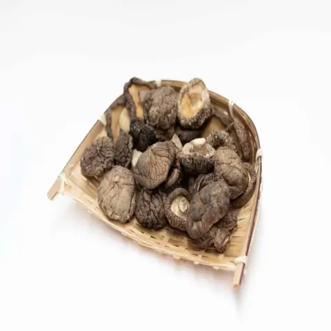 SAVOUR Stem-Cut Smooth-Cap Mushrooms (4-5cm) - 5LB