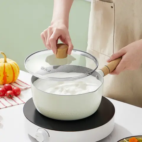 COOKER KING Non-Stick Cookware Cooking Pots and Pans Milk Pots Pasta Sauce Pan with Lid 20 cm