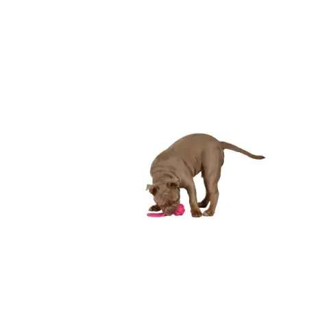 Hundespielzeug Seil 1 Knoten 3ass PES