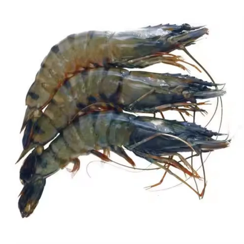 Ocean Delight Ecuador Ocean Delight Vannamei 30/40 Kopf mit 1 kg (700 g netto)