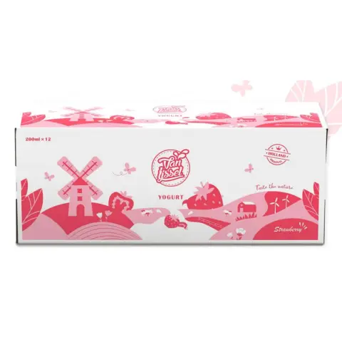 Van IJssel Yaourt Fraise 200ml*12