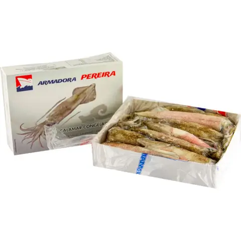 Armadora Pereira Gefrorener Patagonischer Tintenfisch ganz 1kg