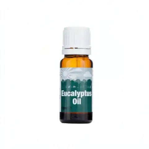 Eucalyptus Oil 10ml