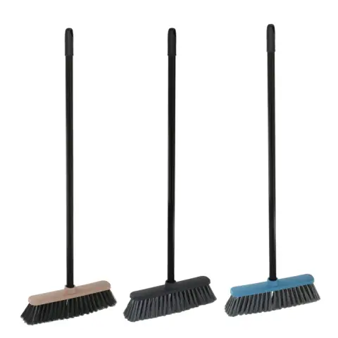Broom Carla