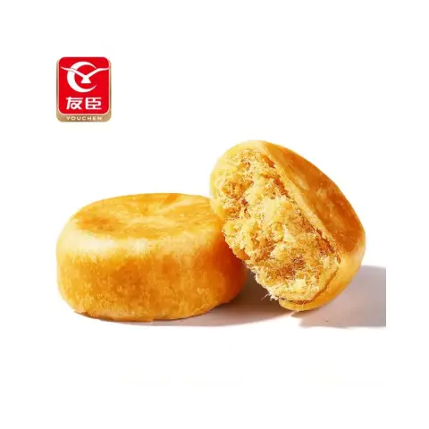 Youchen Meat Loaf Onion Flavour 2.5kg Meat Floss Pancakes With Onion Flavor 2.5 kg
