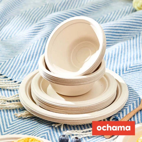 ochama Disposable Plates, 20 pieces