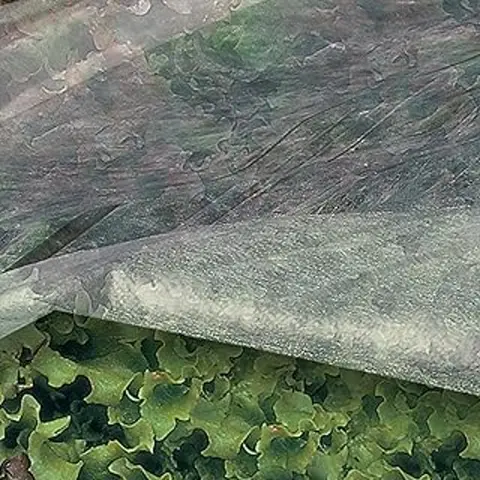 TENAX Ortoclima Voile d'Hivernage pour Plantes 1,6 x 5 m – 17 g/m²